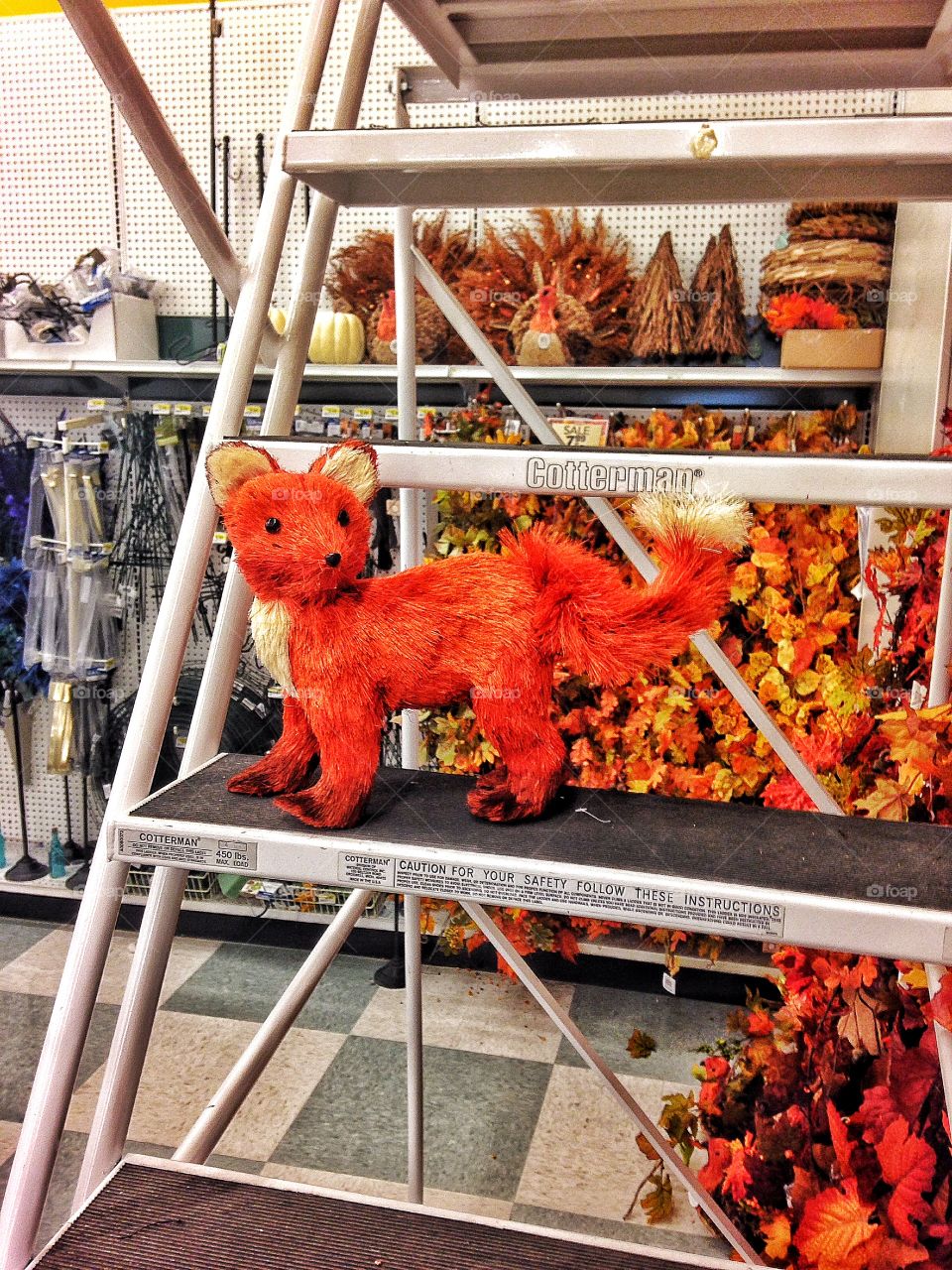 Found at work . Random fox