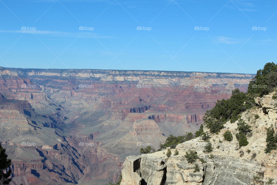 Grand Canyon View