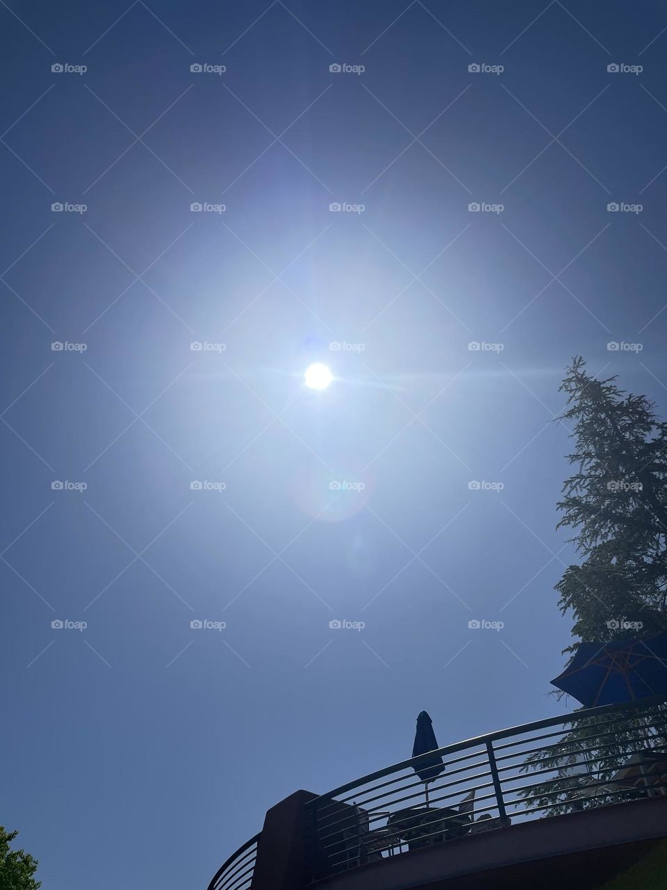 Sense of Spiritual beings companion!!!