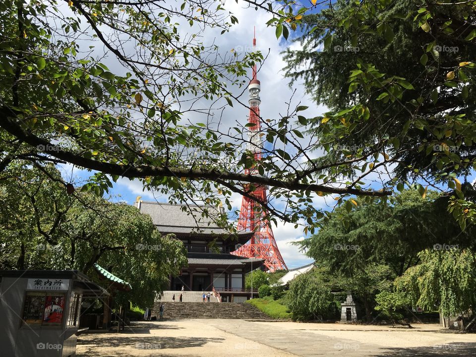 Tokyo Tower and temple