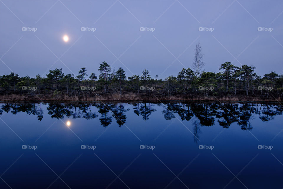 marsh landscape with a lake in the moonlight