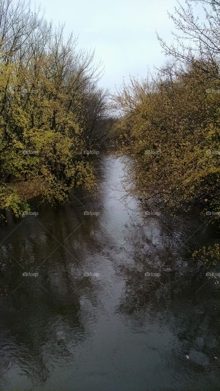 No Person, Landscape, Nature, Tree, Water