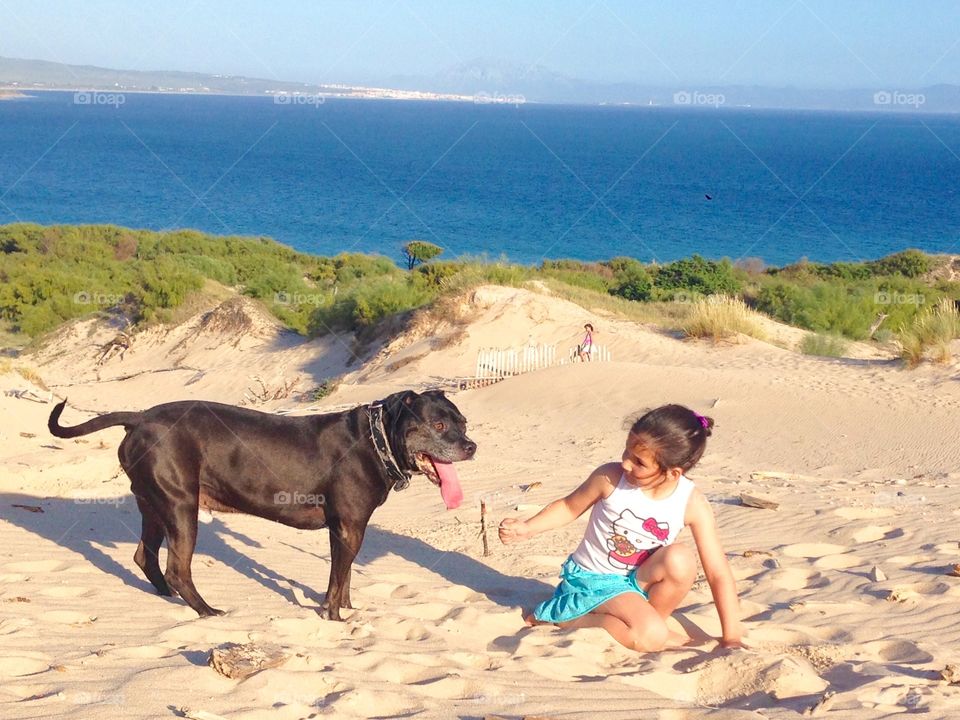 Doggie day out