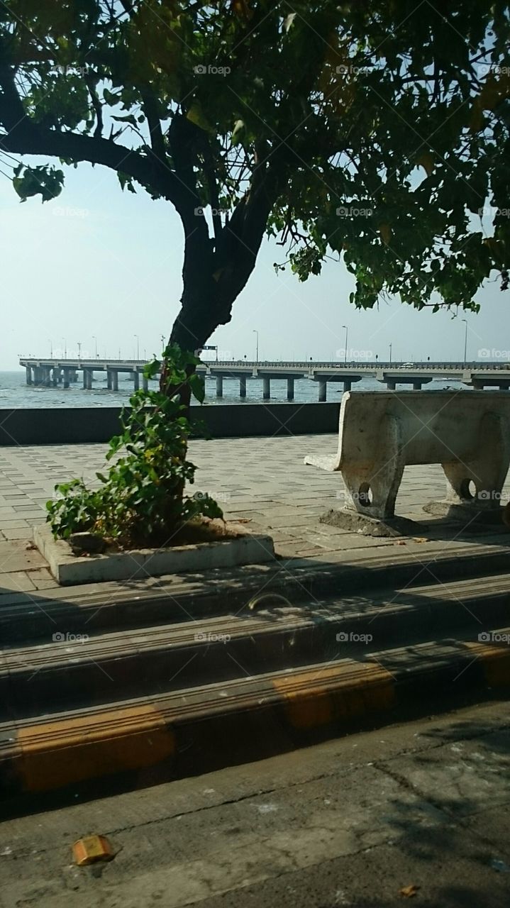 Mumbai Worli Sea
