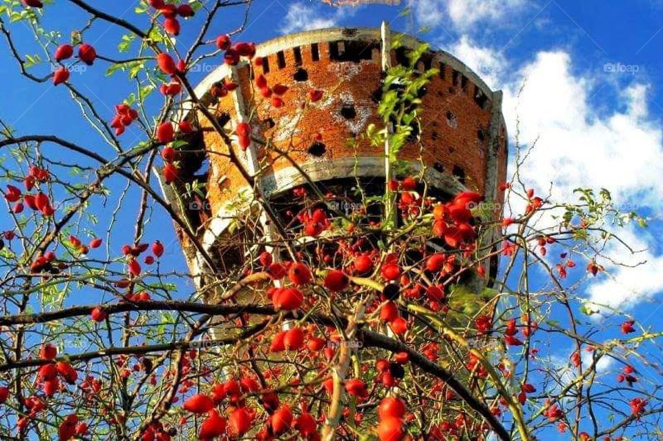 Vukovar database monument