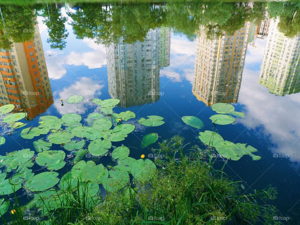 Reflection of houses in the lake