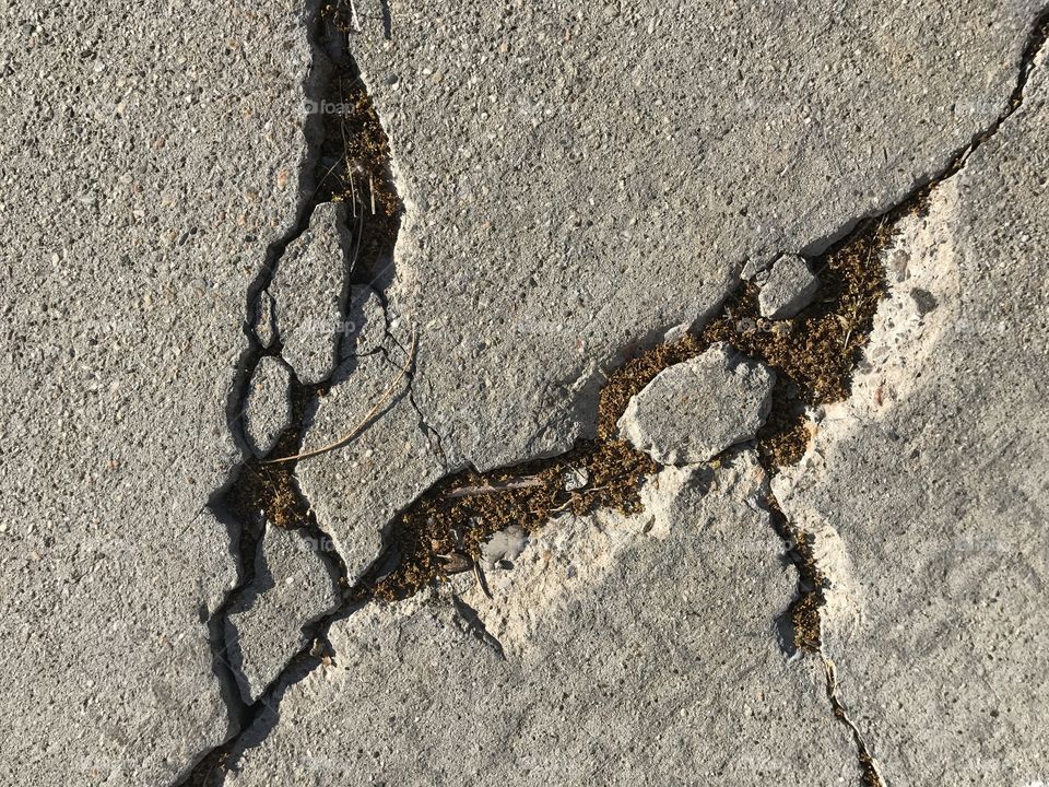 Cracks in the sidewalk 