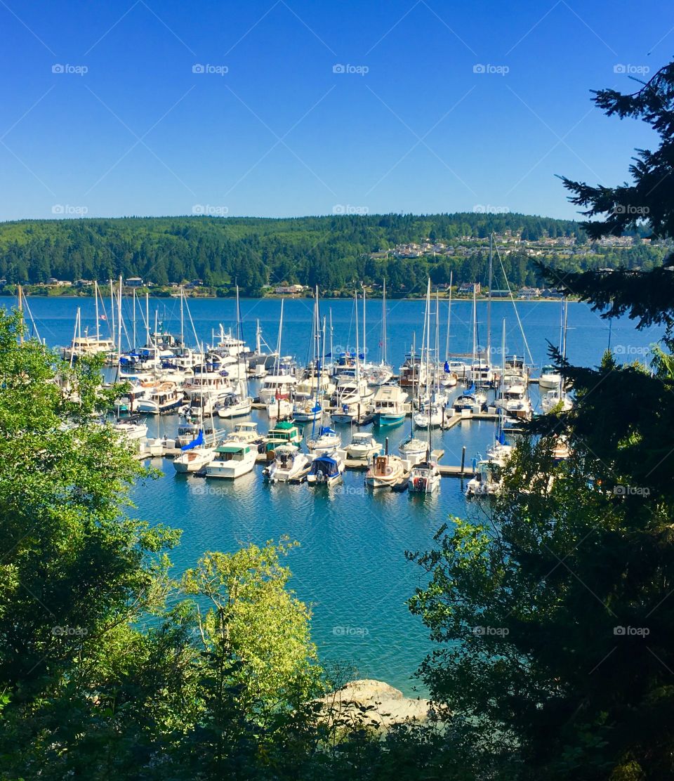 Marina - Port Ludlow, WA, Olympic Peninsula 