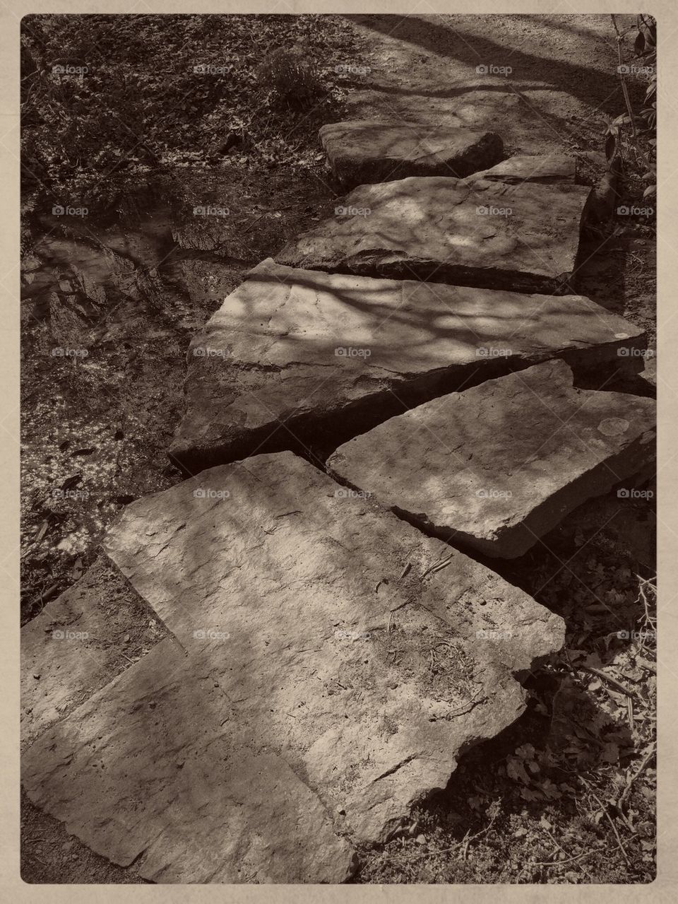 Step stones 