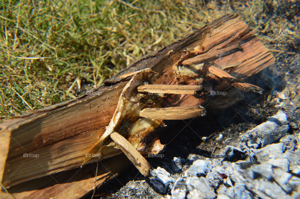 fried fish on the board