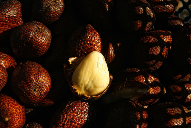Salak,  Salacca