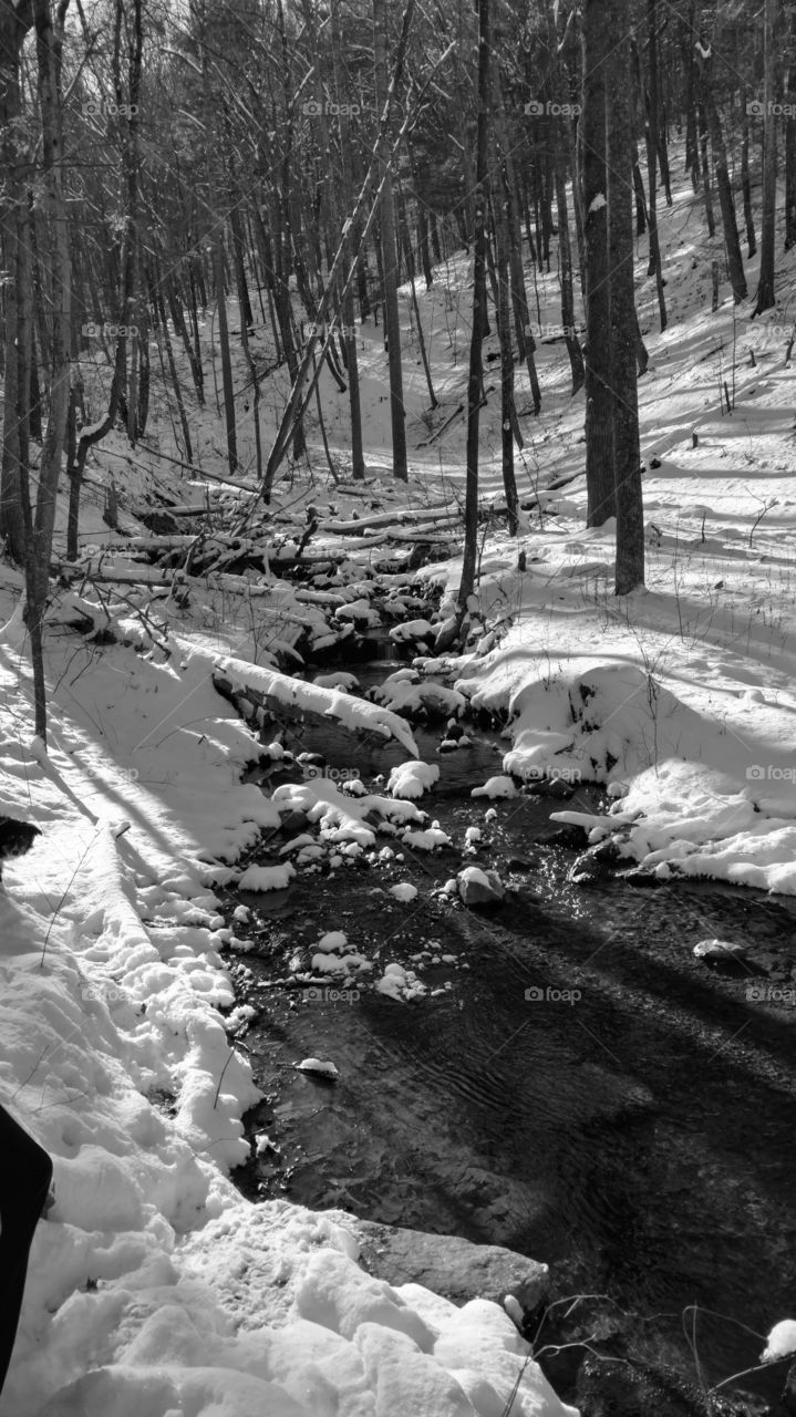 little creek in the winter, grey scale