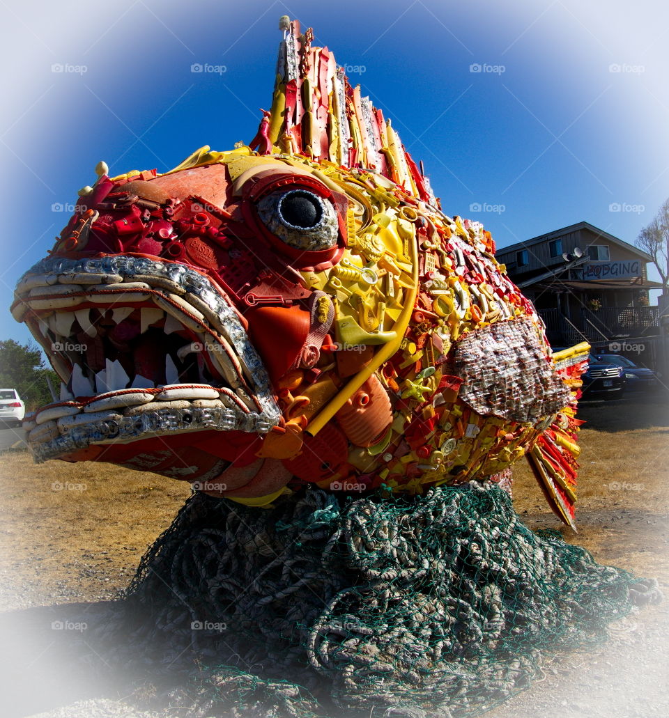 Funky Fish . This creative piece of art found on the coast in  Oregon is made entirely out of trash collected from the beach. 