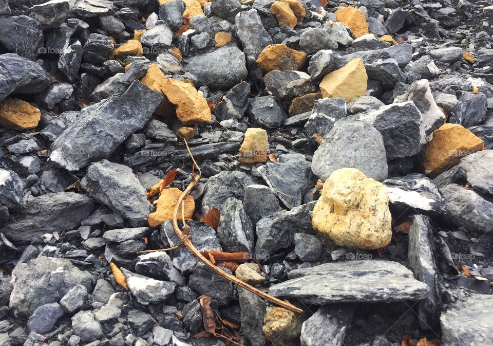 Rocks in the street 