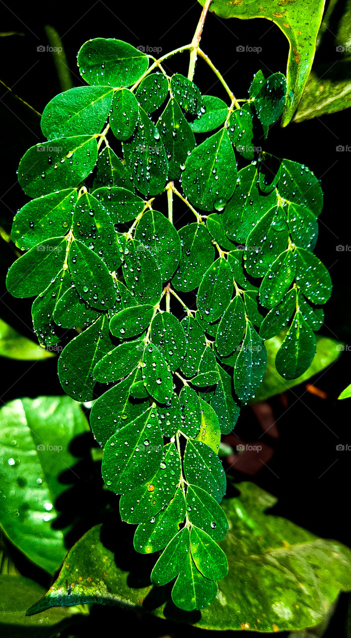 If you truly love nature, you will find beauty everywhere...💚💚