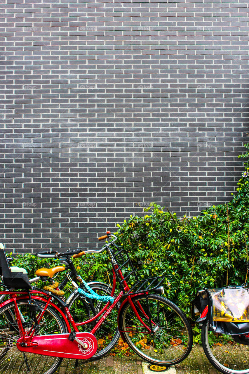 Wall and Bicycle 