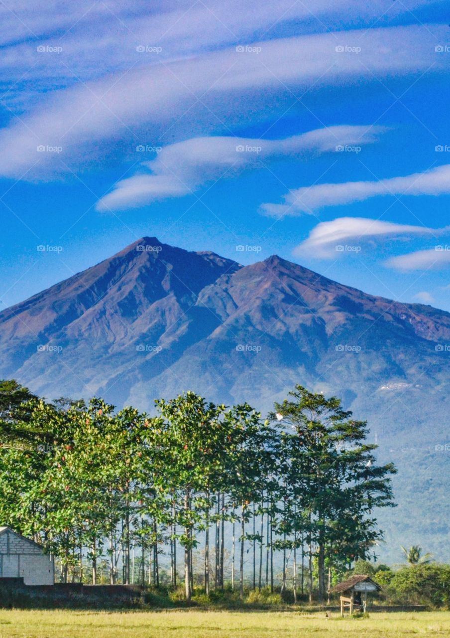 mountain merbabu