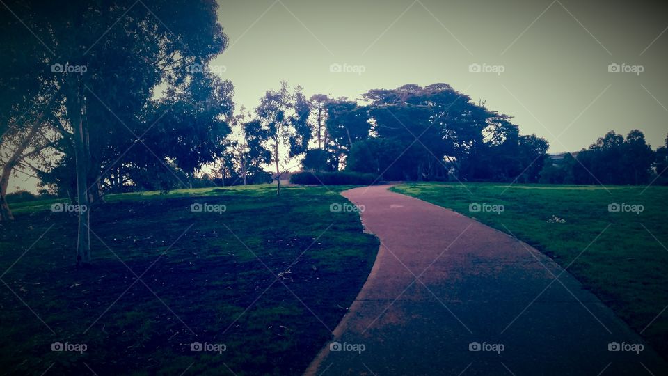 Pathway at a park
