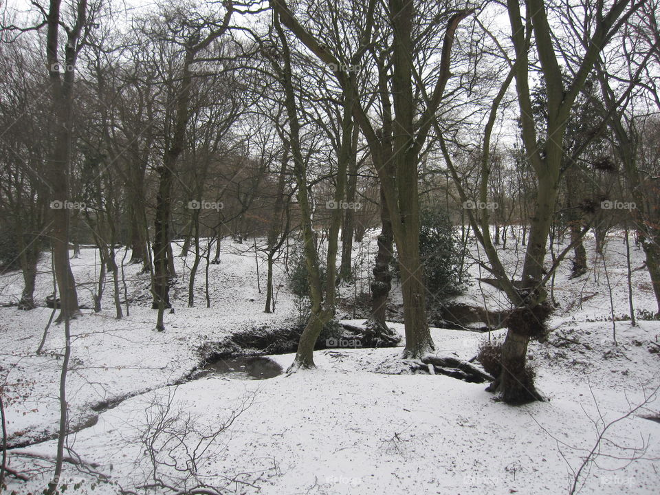 A Dusting Of Snow