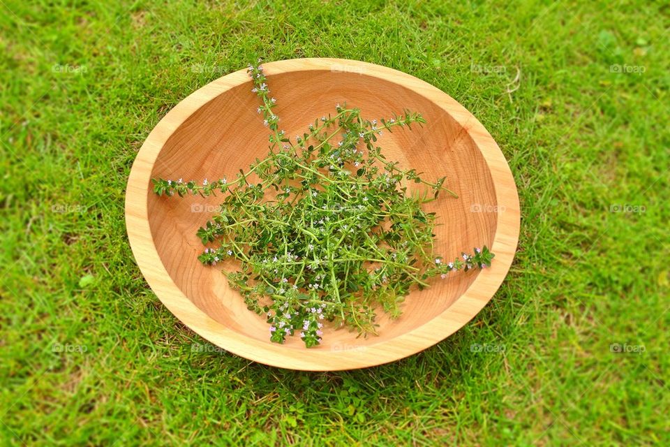 Lemon thyme 