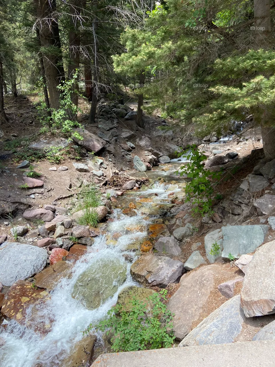 Creek bed
