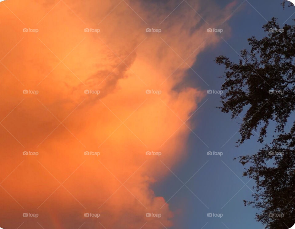 Billowing orange sunset cloud in a blue sky.