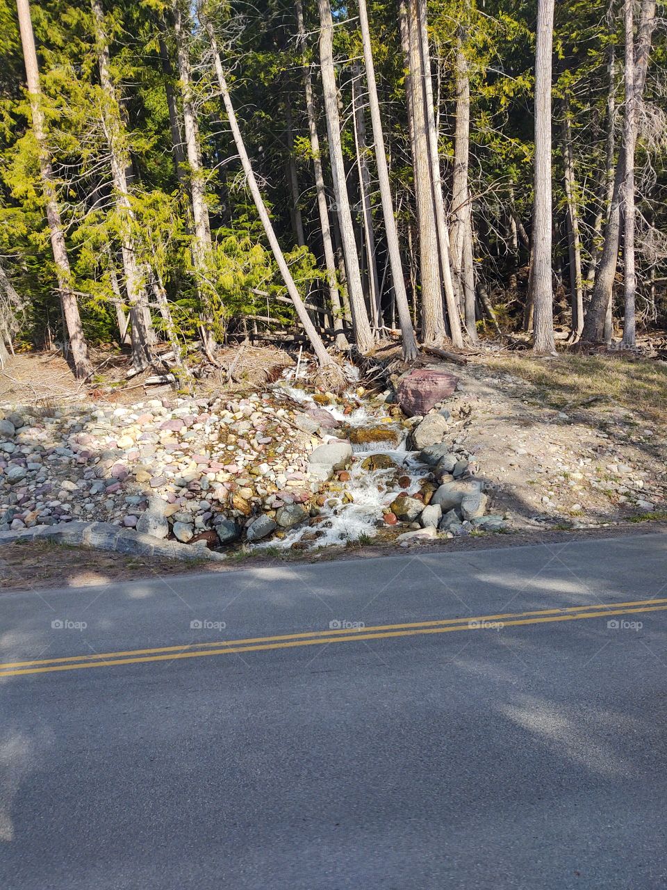 Glacier National Park
