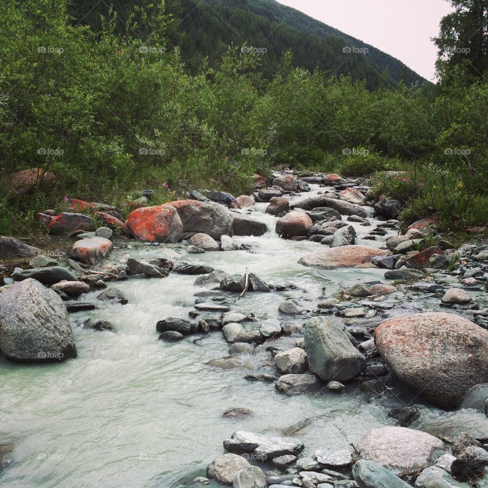 Water, River, Stream, Rock, Nature