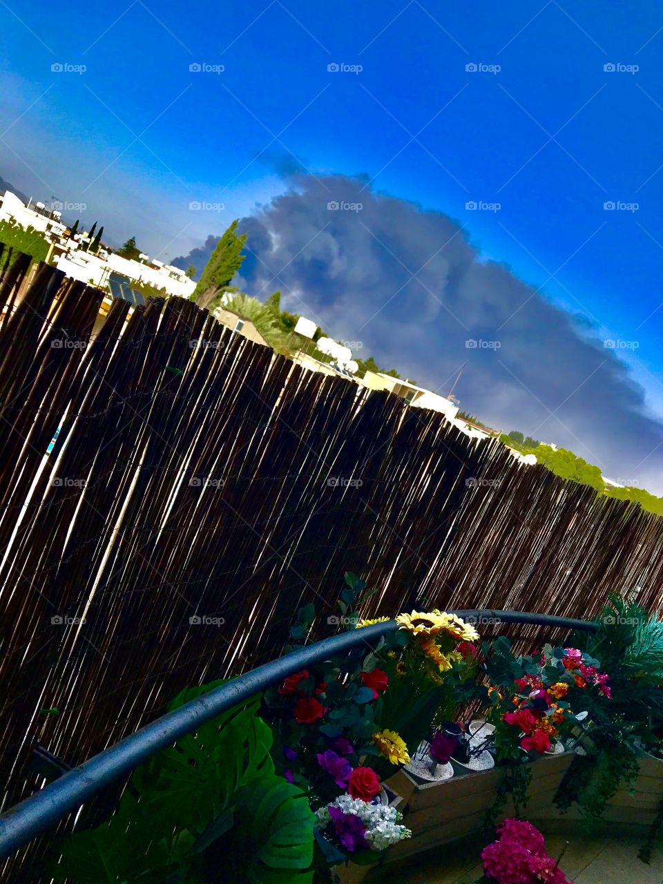 My Magic World Through My Eyes ..!!