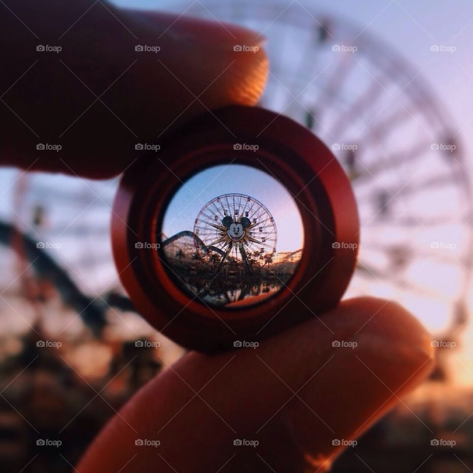 Can you find the Mouse?