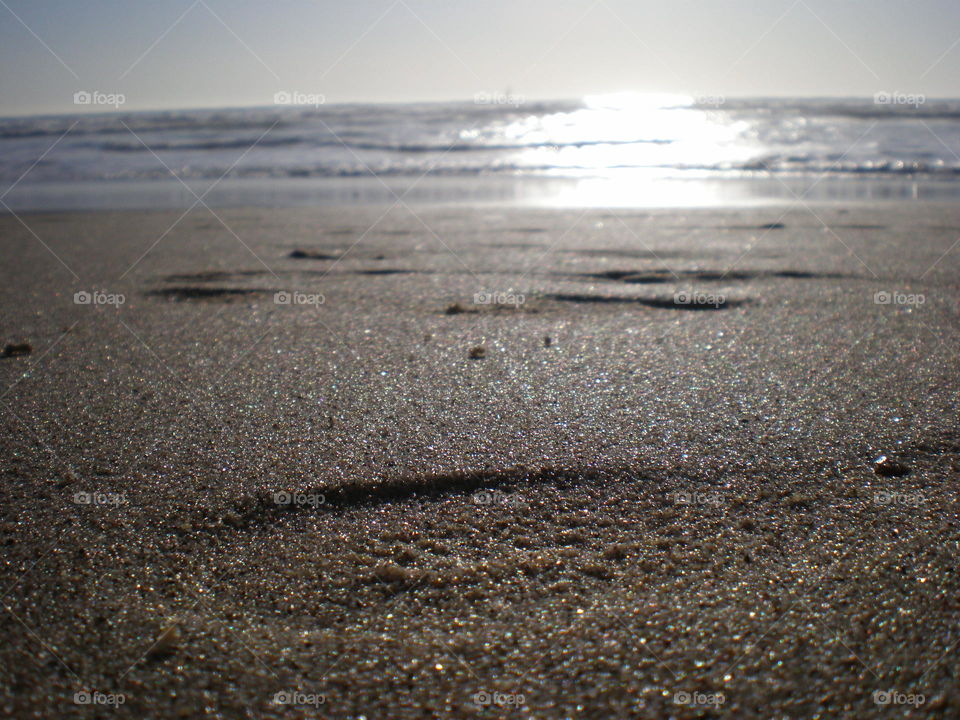 Ocean footprint