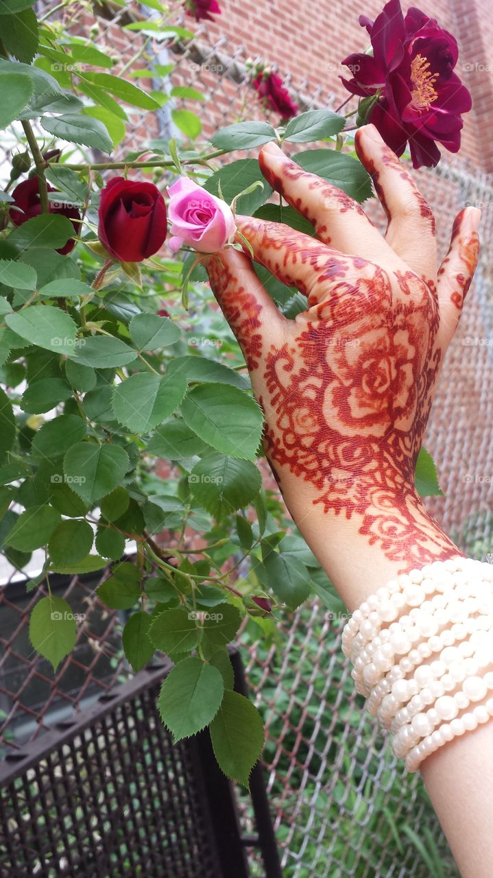 roses henna