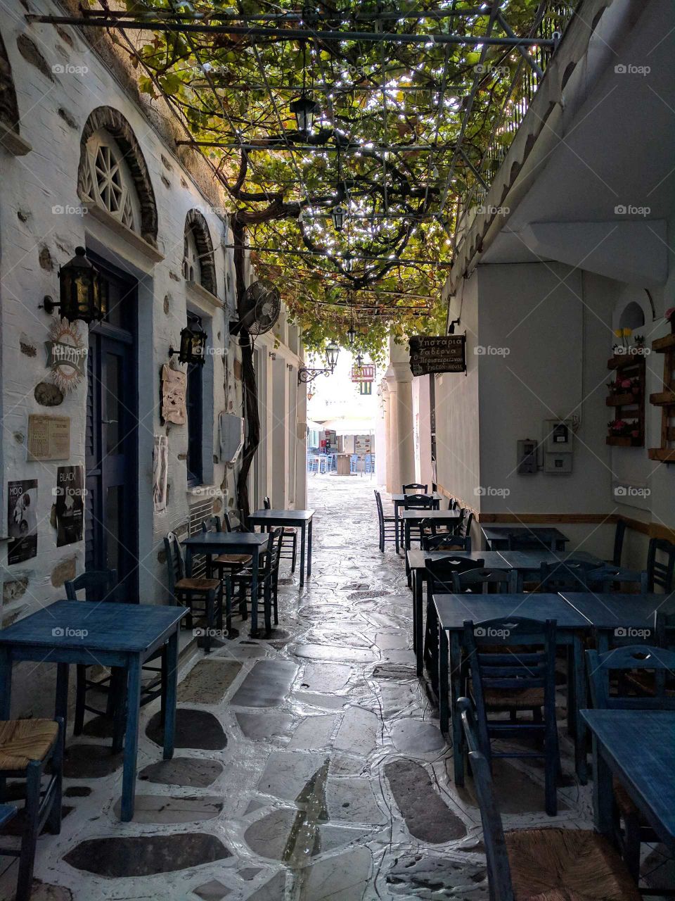 tinos