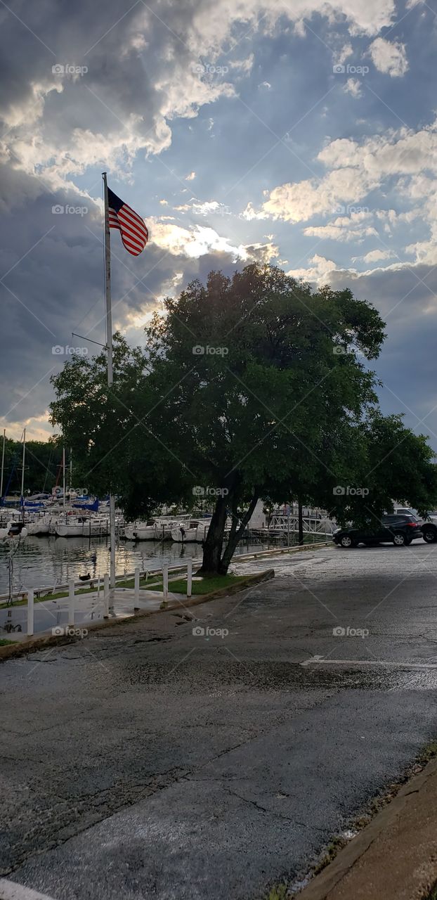 Post-storm sky, tree, and flag