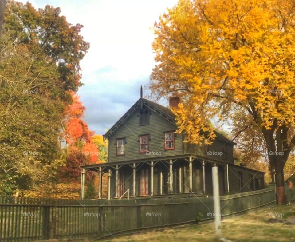 Vintage beauty in autumn