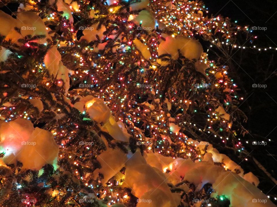 Christmas tree in Michigan 