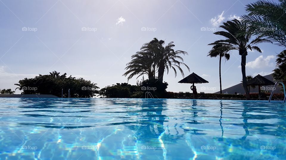 Vacation, nice pool area with palm trees in fair weather- semester, härlig pool med palmer och fint väder