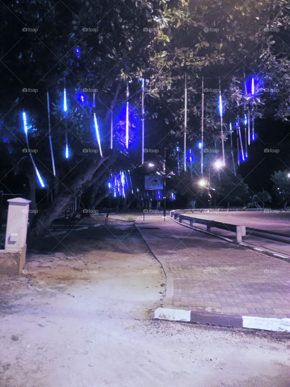 Blue lights hanging from tree