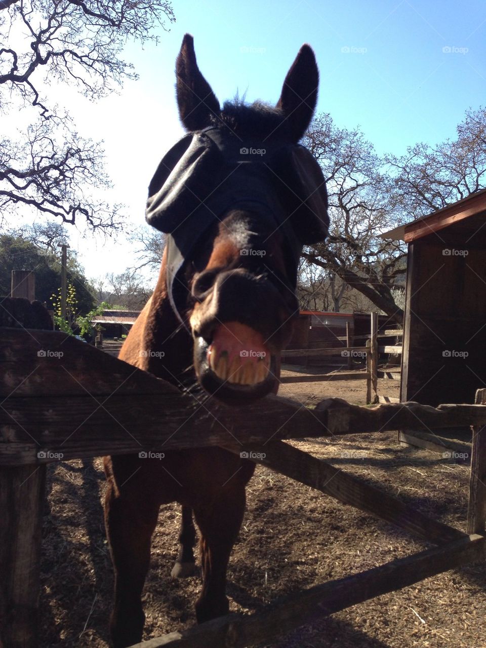 Smile for the camera 