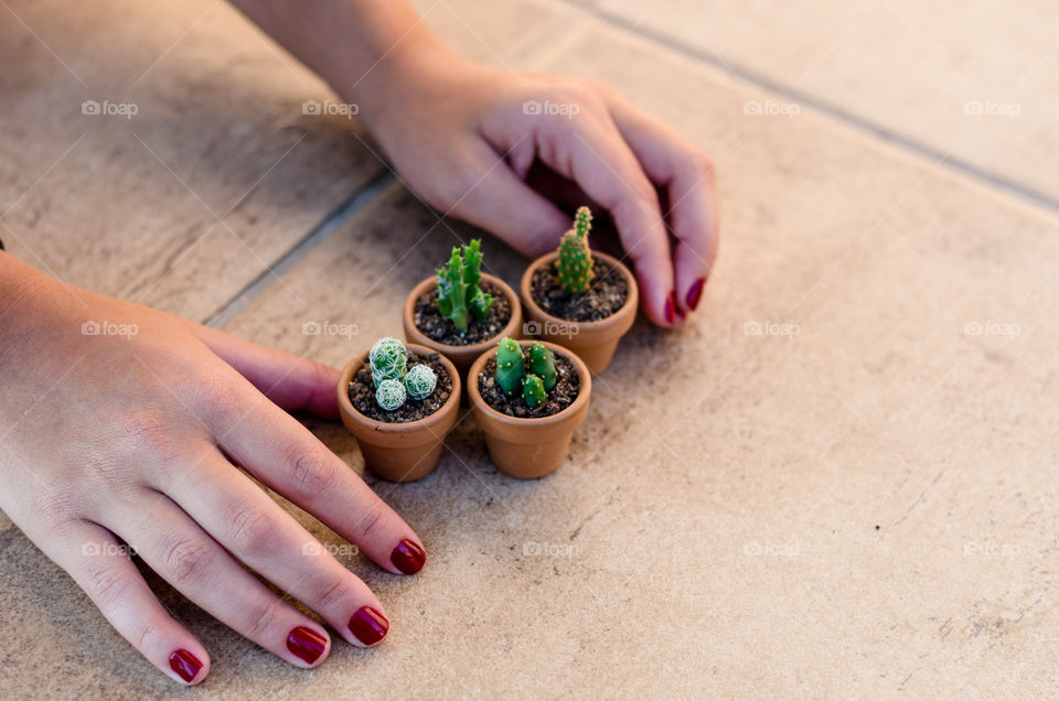 Close-up of women hand with potted plant
