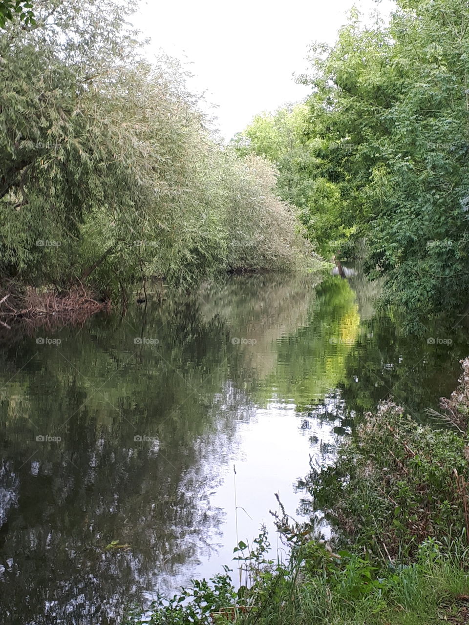 Peaceful River