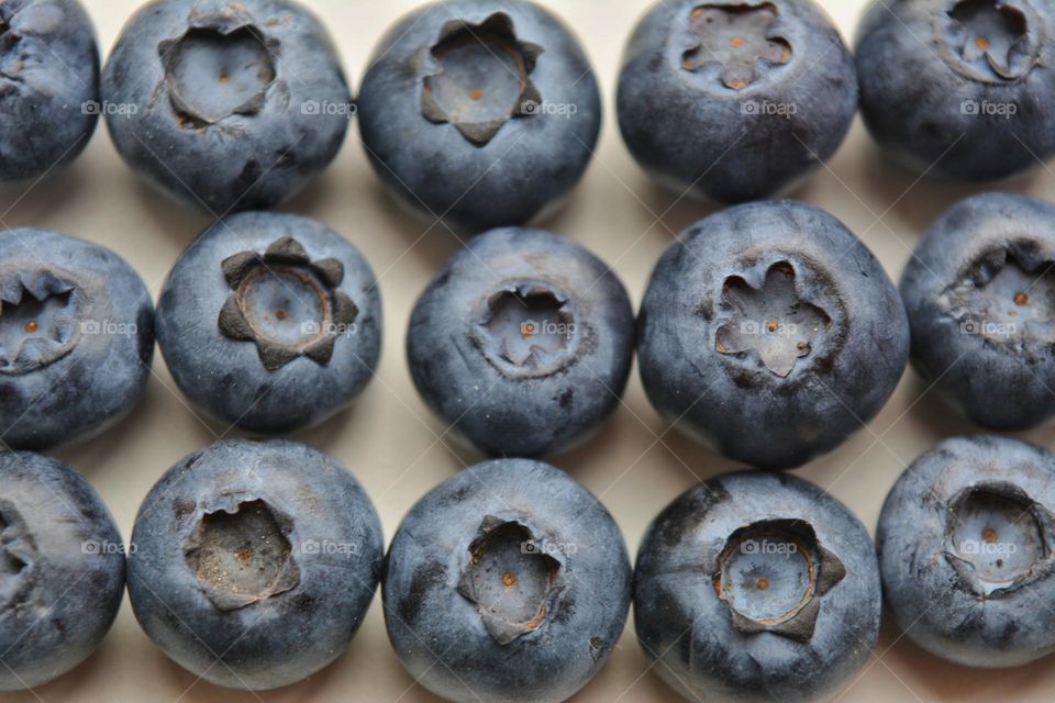 blueberries round beautiful texture background, healthy tasty food