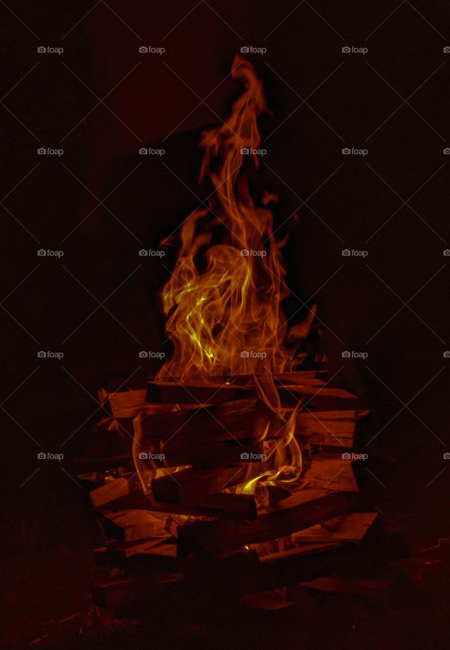 fire flame
