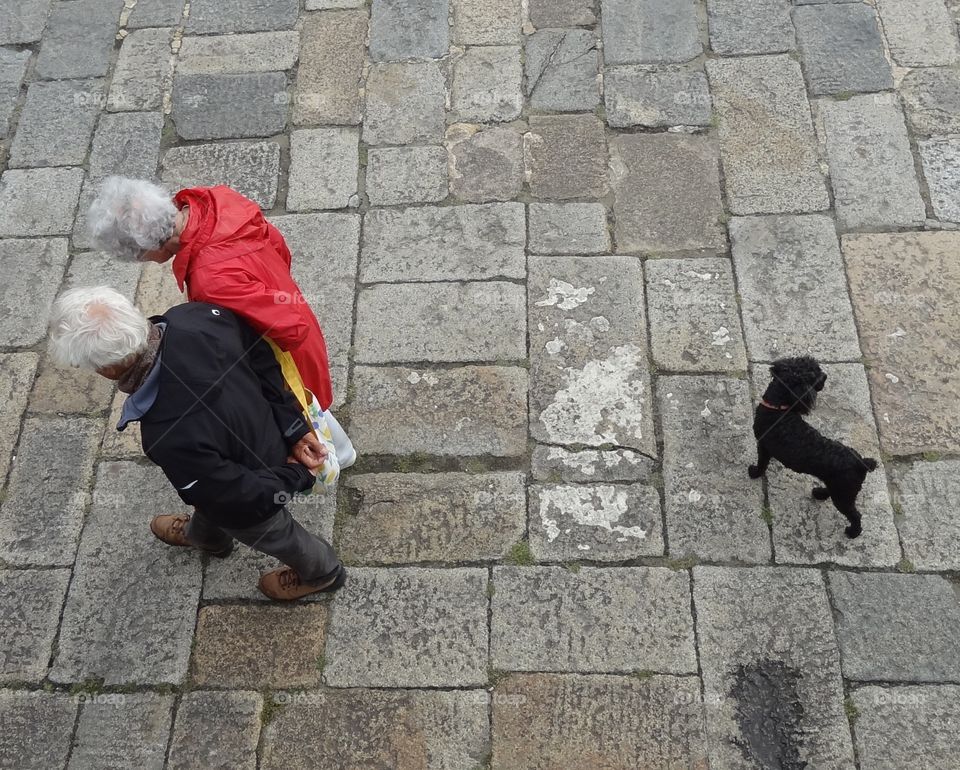 Promenading with the Dog. This couple take their dog for a walk along the granite breakwater.
