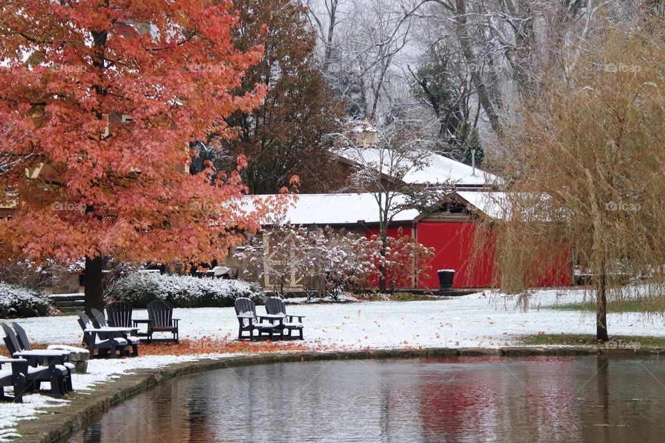 Winter outdoor scene with pink and orange leaves on tree