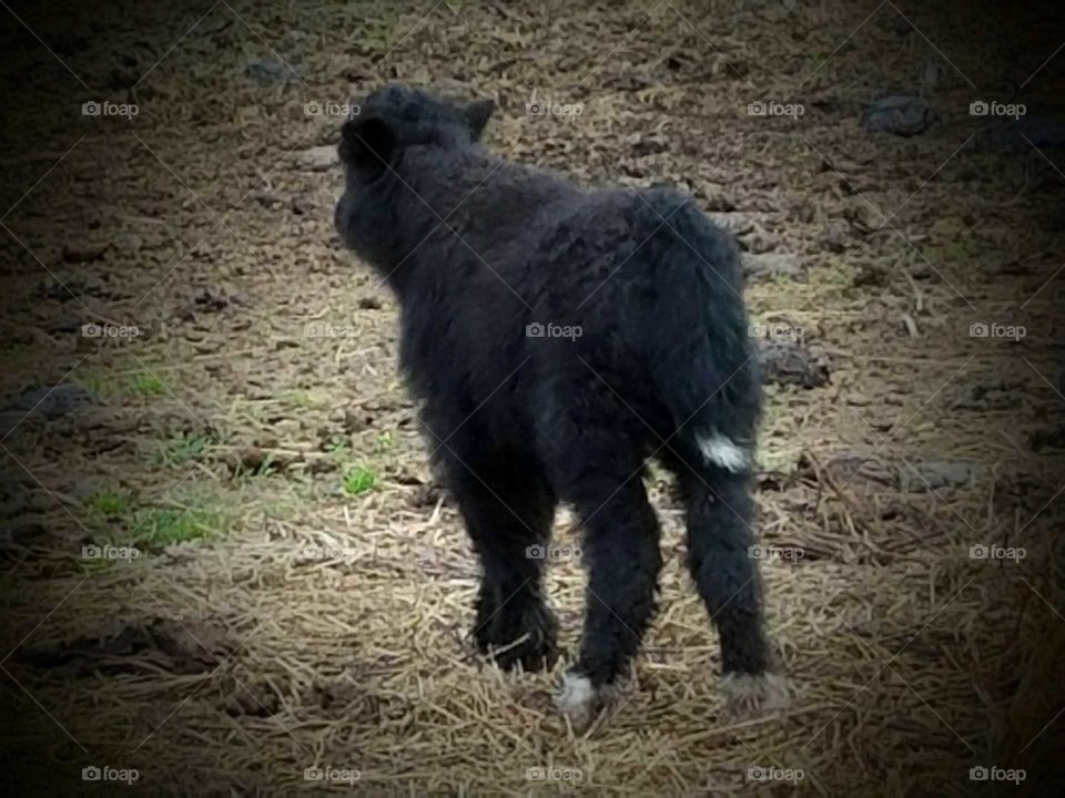 Driving the Back Roads and enjoying everything around us