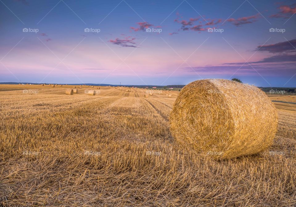 Osieczna, Leszno, Poland