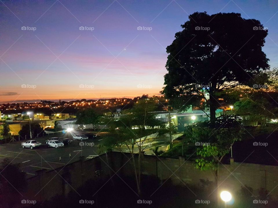 From the window I see the world