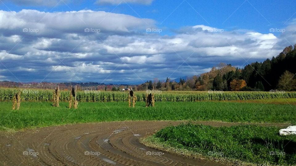 Fall day on the Farm-. An awesome day on a family owned Pumpkin Farm in the Pacific Northwest-