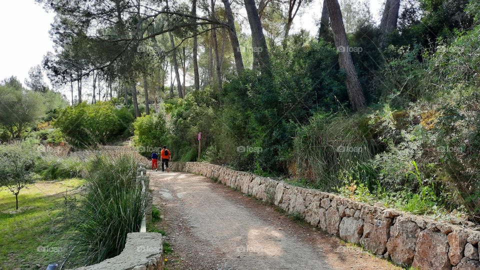 Man and boy walking through a rural path with stone borders. On the sides, forest, fruit trees and other plants.